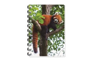 Obrázek z Notes 3D 9,3x13,5cm - panda červená (12) 